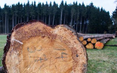 Killing fewer trees when printing a Gantt Chart
